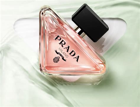 Prada paradoxe muse